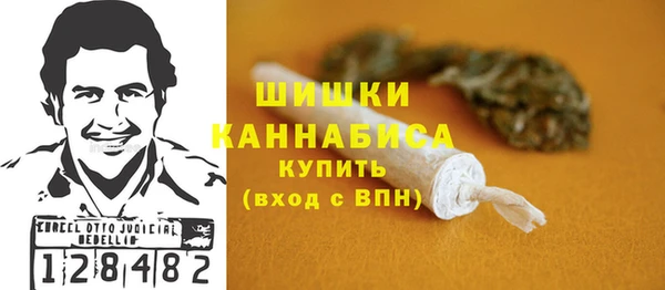 гидропоника Медногорск